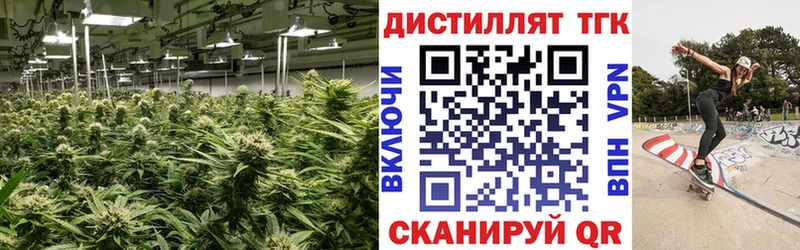 Дистиллят ТГК гашишное масло  МЕГА ссылка  Качканар 