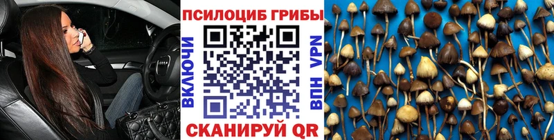 Псилоцибиновые грибы мухоморы  KRAKEN ТОР  Качканар  купить наркотик 